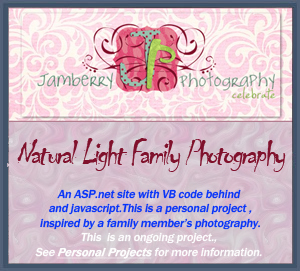 Jamberry Photography